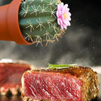 Cactus Shape Design Salt And Pepper Dispenser Bottle S pice Seasoning Containers Salt Pepper Shakers S pice Organizer Spic e Jar