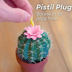 Cactus Shape Design Salt And Pepper Dispenser Bottle S pice Seasoning Containers Salt Pepper Shakers S pice Organizer Spic e Jar